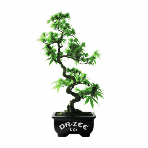 BONSAI WHITE HOODY