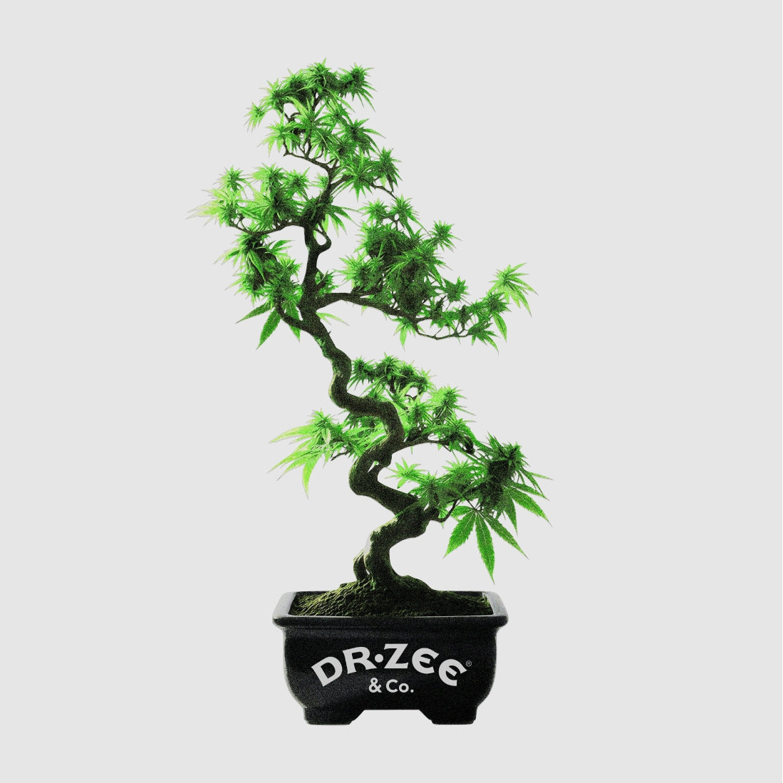 BONSAI GREY SWEATER
